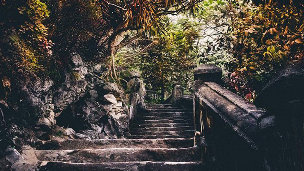 tour-da-nang-3n2d-son-tra-ngu-hanh-son-hoi-an-ba-na-hills-cu-lao-cham